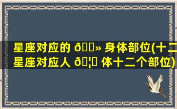 星座对应的 🌻 身体部位(十二星座对应人 🦋 体十二个部位)